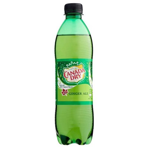 Canada Dry 0,5l pet DRS