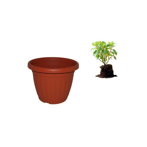 Virágcserép 50cm Terra